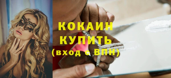хмурый Абаза
