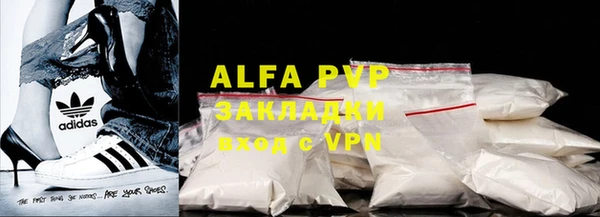 стафф Алексин