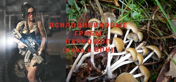 2c-b Михайловка