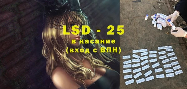 хмурый Абаза