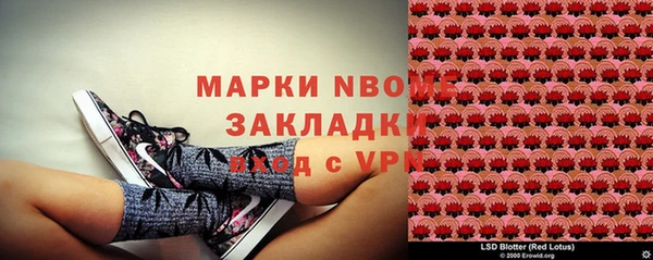 хмурый Абаза