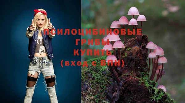 СК Алзамай