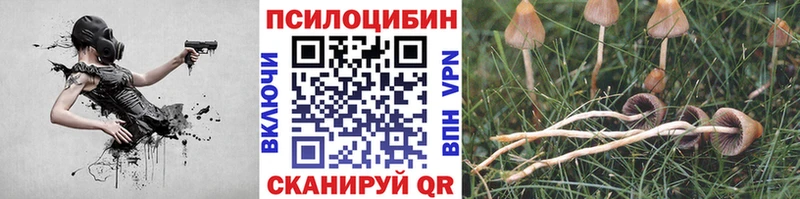 Псилоцибиновые грибы мицелий  даркнет сайт  Астрахань 