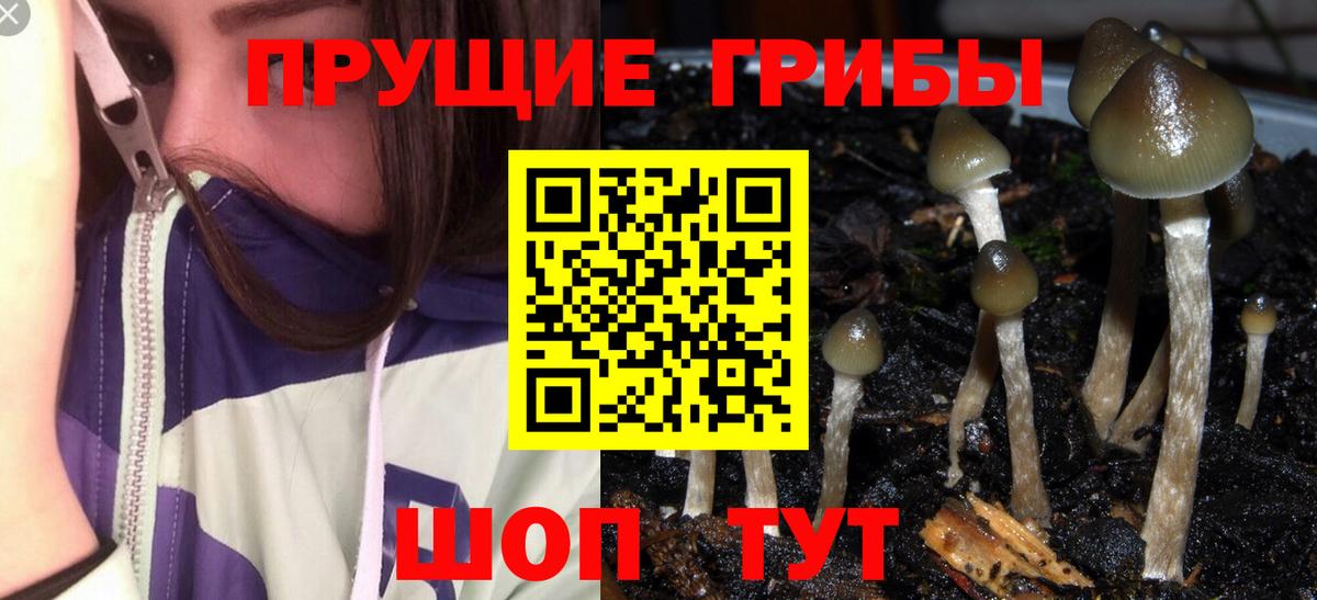 Астрахань  Галлюциногенные грибы мицелий  Вход с VPN  Псилоцибиновые грибы ЛСД 